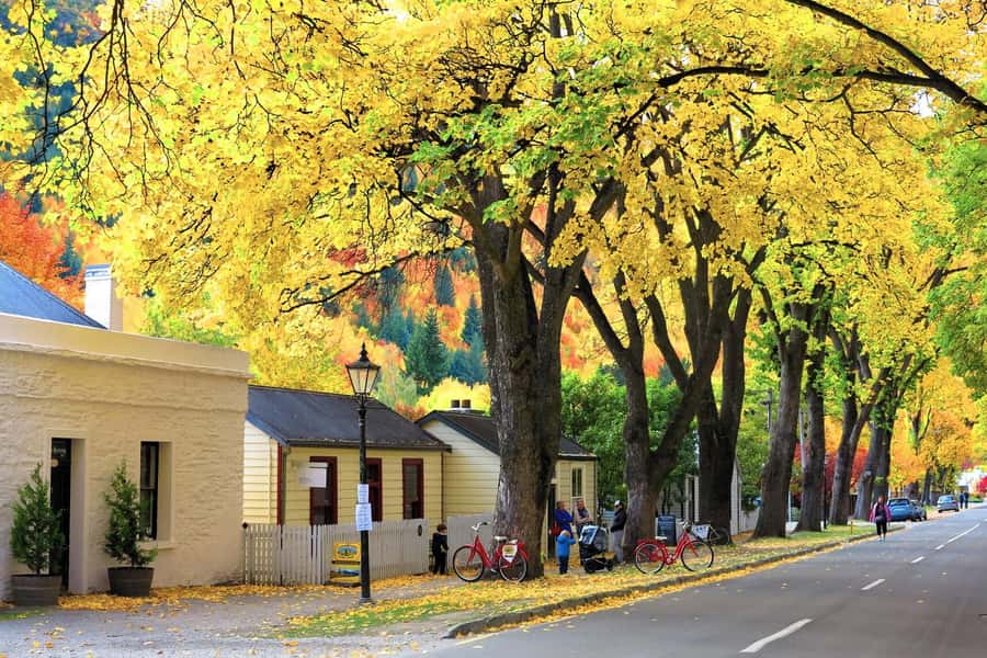 Queenstown: Premium Full-Day Central Otago Wine Tasting Tour - Arrowtown and Old Cromwell are useful extras