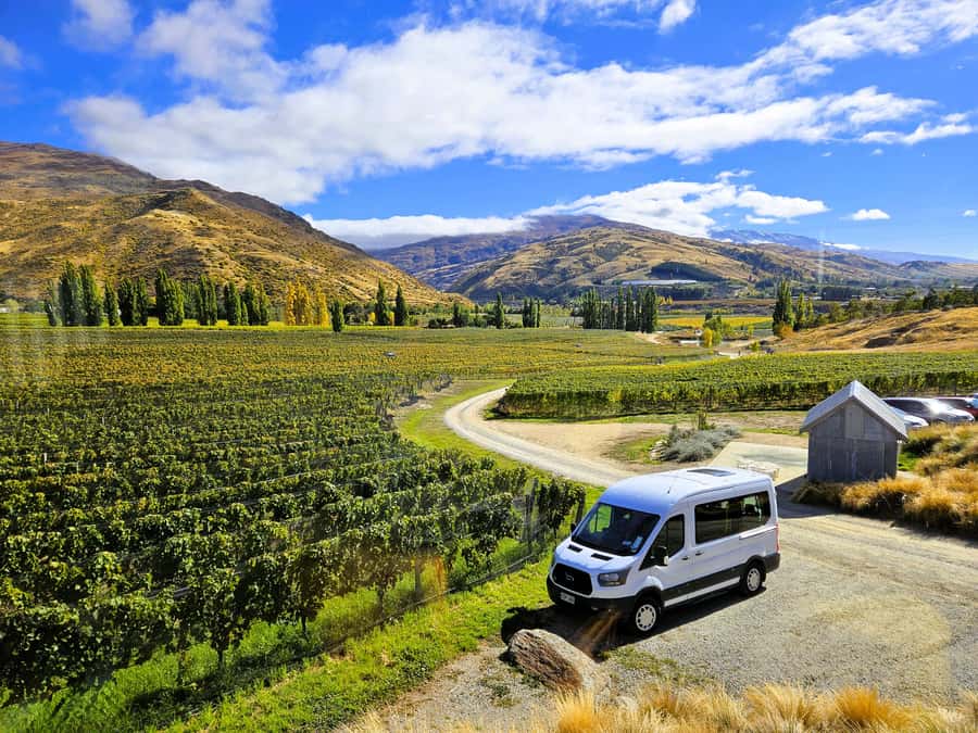 Queenstown: Premium Full-Day Central Otago Wine Tasting Tour - Leaving Queenstown in a group of eight