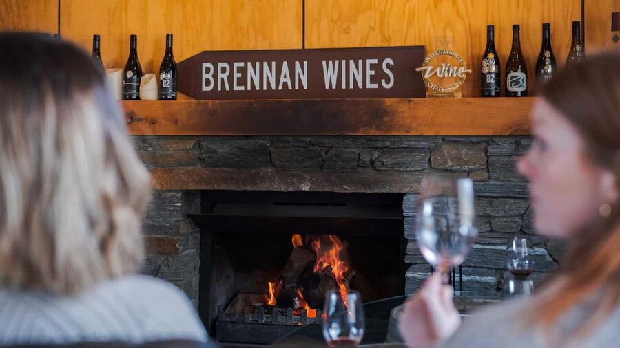 Queenstown: Premium Wine Tasting Tour - Key points at a glance