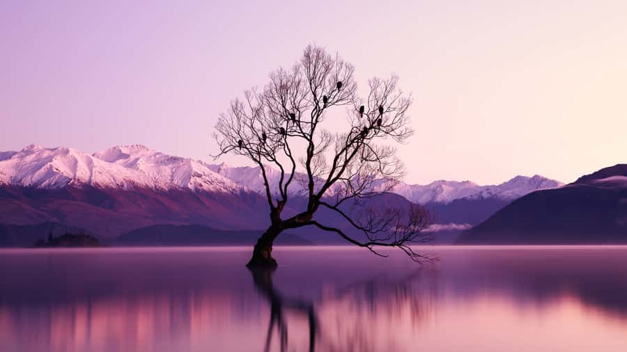 Queenstown: Private Day Trip to Wanaka, Arrowtown & More - Key points at a glance