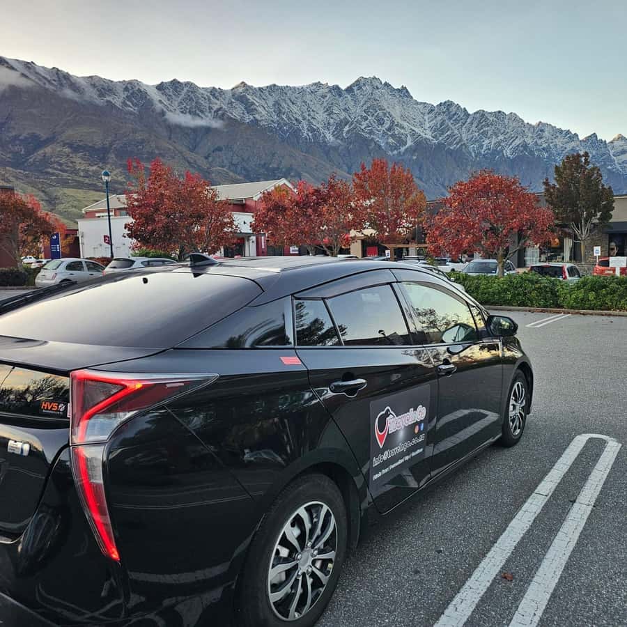 Queenstown: Private Day Trip to Wanaka, Arrowtown & More - Photo stops, local food, and special requests