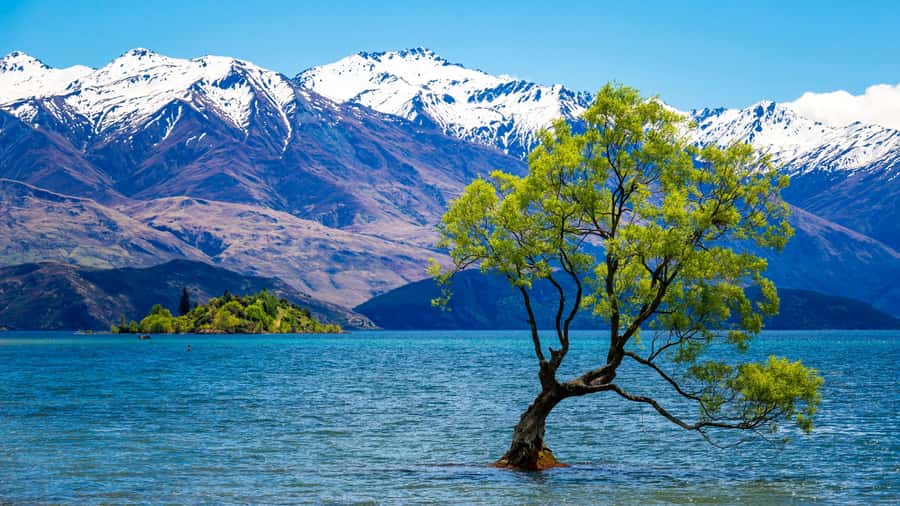 Queenstown: Private Day Trip to Wanaka, Arrowtown & More - Arrowtown: gold-town character close to Queenstown