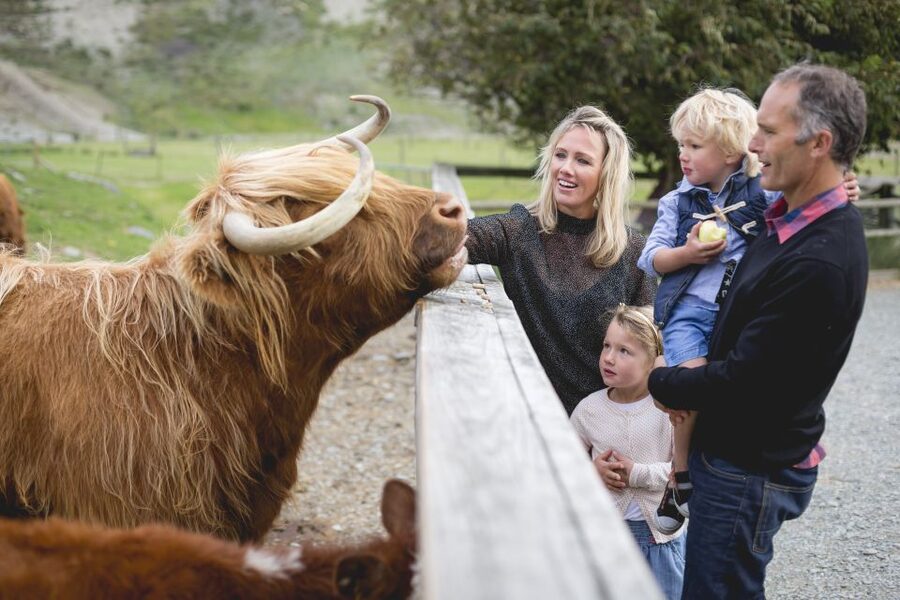Queenstown: Queenstown Lake Cruise and Walter Peak Farm Tour - Who will enjoy Walter Peak most