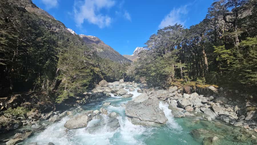 Queenstown: Routeburn Track Guided Full-Day Walk or Half Day - Key points to know before you book