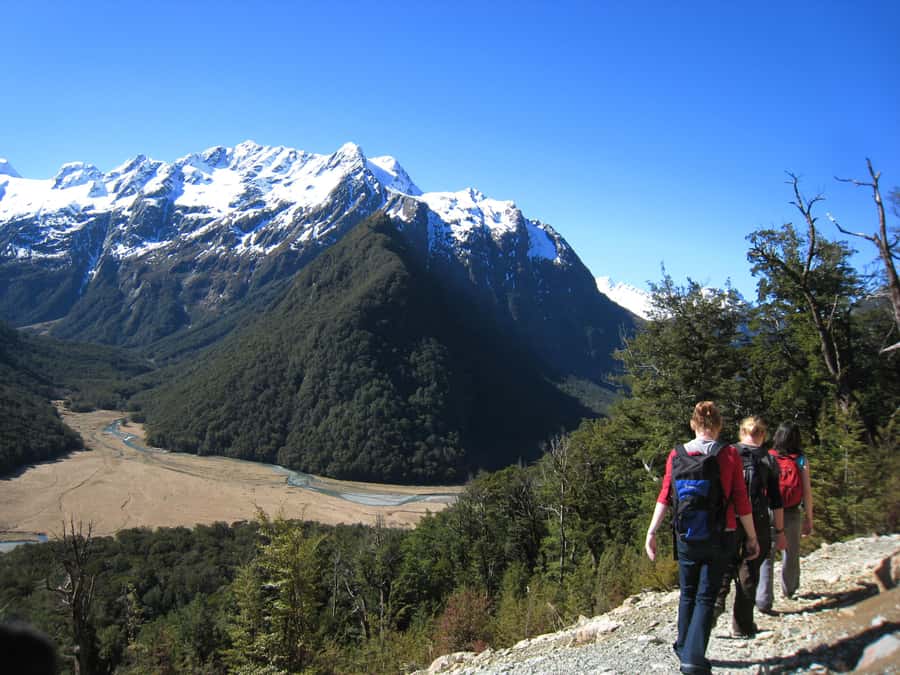 Queenstown: Routeburn Track Guided Full-Day Walk or Half Day - Swing bridge, tarns, and the first open views