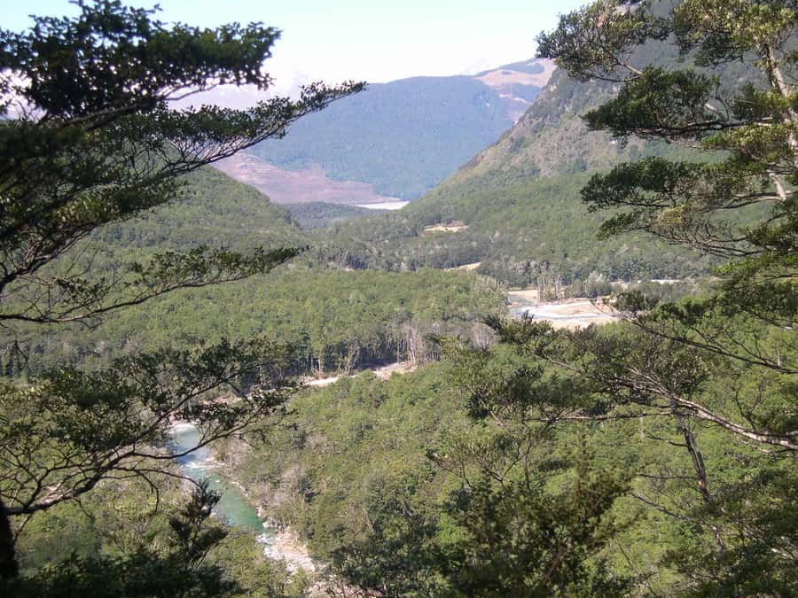 Queenstown: Routeburn Track Guided Full-Day Walk or Half Day - Picnic lunch and the practical side of a long day