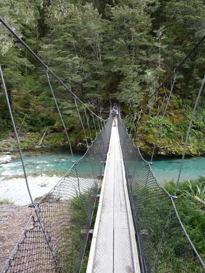 Queenstown: Routeburn Track Guided Full-Day Walk or Half Day - Who will get the most from this guided walk?