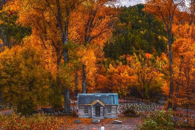 Queenstown to Christchurch One Way Tour Via Lake Tekapo & Mt Cook - Lindis Pass and the open high country