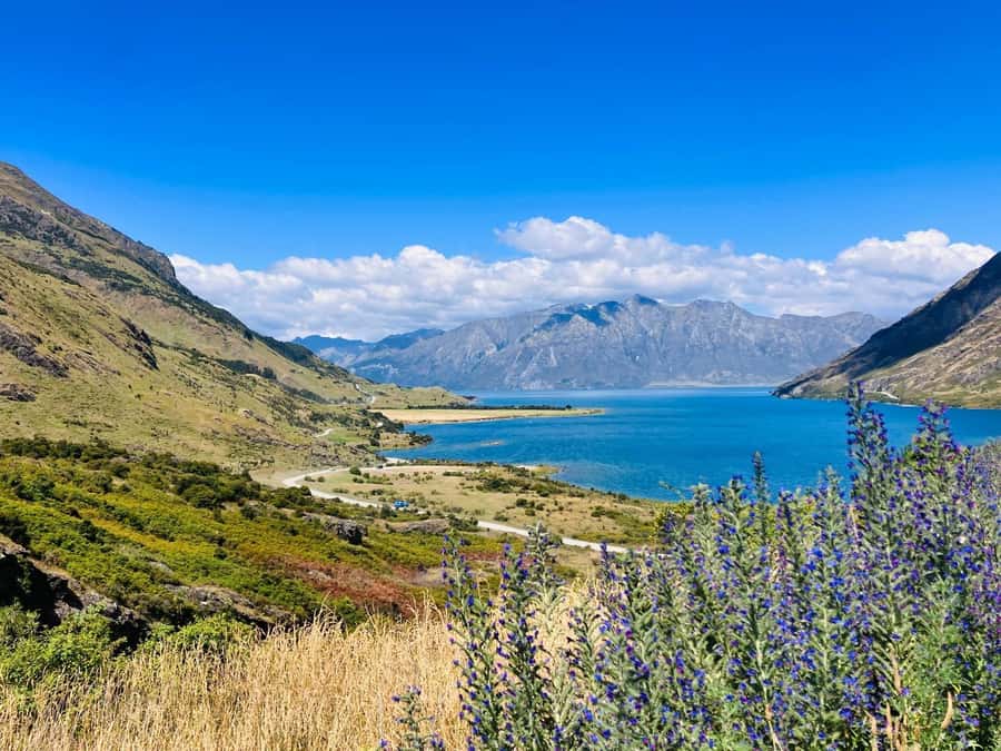 Queenstown to Christchurch via Franz Josef 2-Day Tour - Day two starts at Hokitika Gorge