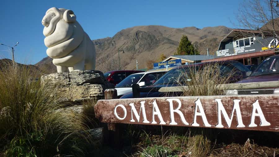 Queenstown to Christchurch via Mt Cook One-Way Tour - Why this is more than a bus transfer
