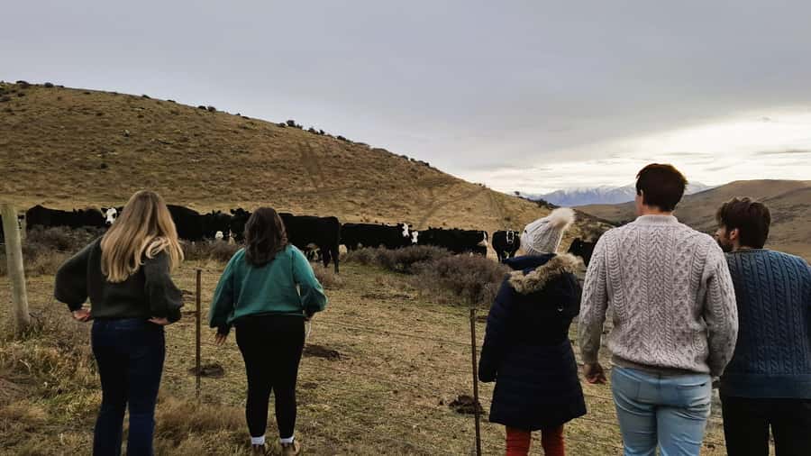 Queenstown to Dunedin Incl Taieri Gorge Train (One-Way) - The two-hour Taieri Gorge Train ride