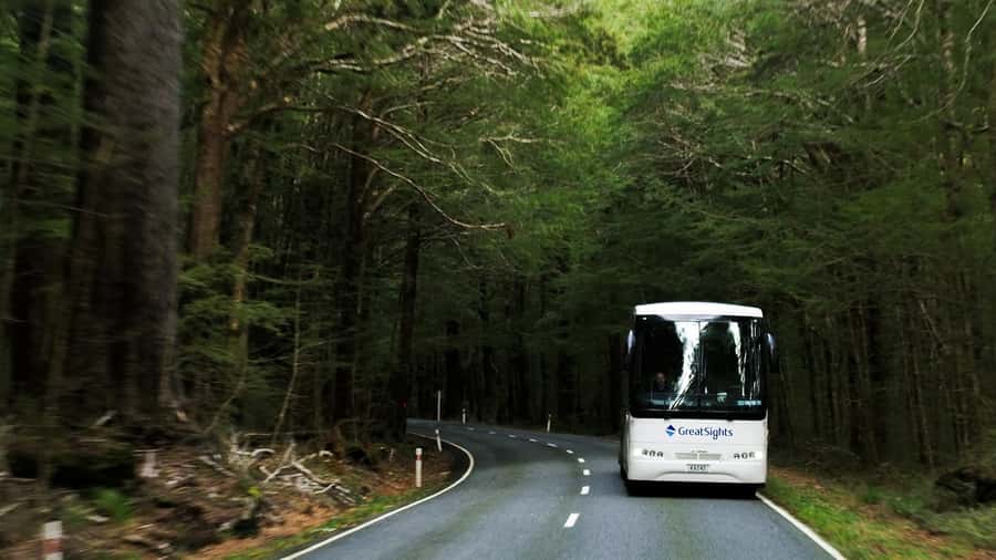 Queenstown to Franz Josef Day Tour - Why this road trip is worth your day