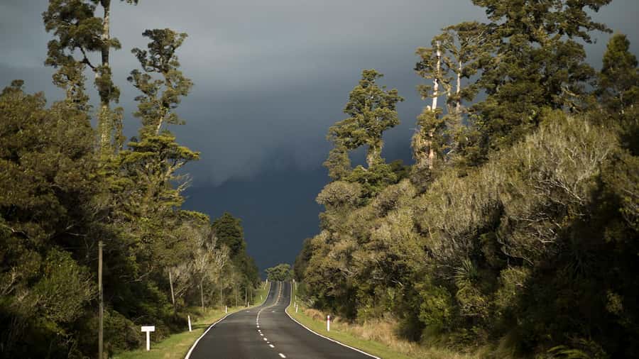 Queenstown to Franz Josef Day Tour - Practical tips for a smoother day
