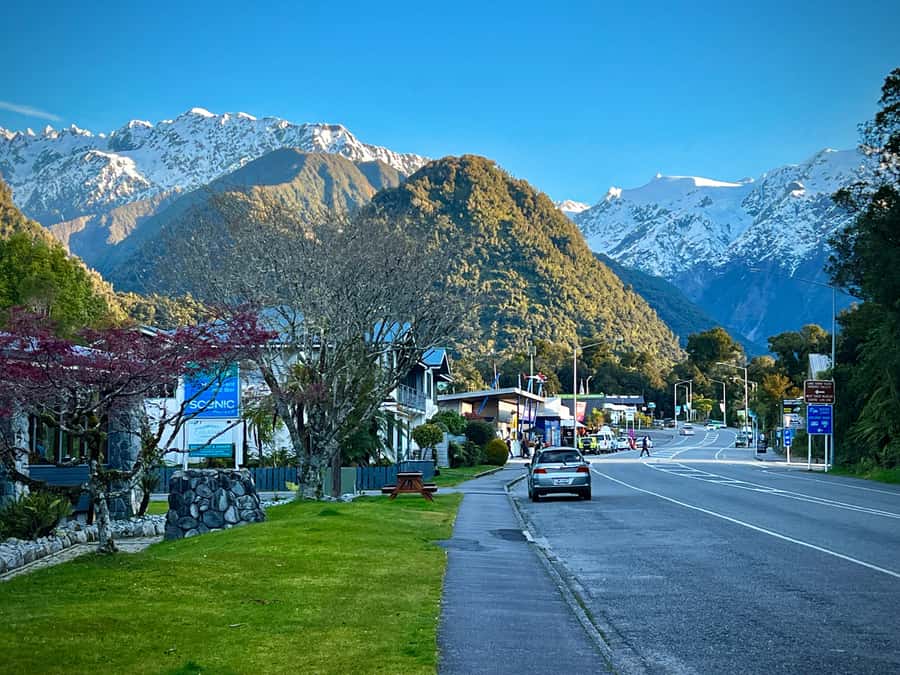 Queenstown to Franz Josef small group tour (one-way) - Ship Creek introduces the West Coast