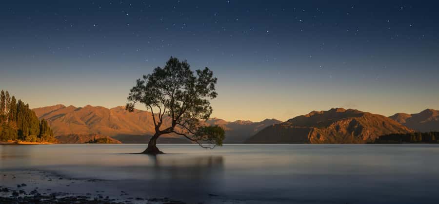 Queenstown to Franz Josef Tour via Wānaka (One-Way) - Key points at a glance
