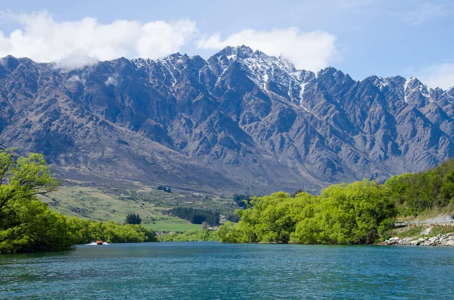 Queenstown to Franz Josef Tour via Wānaka (One-Way) - Lake Wānaka and the famous tree