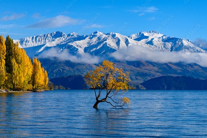 Queenstown to Franz Josef via Wanaka Small Group Day Tour (1-Way) - Blue Pools Track in Mount Aspiring National Park