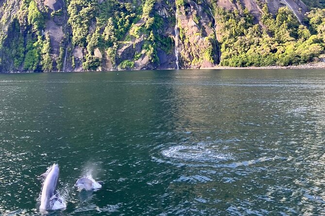 Queenstown to Te Anau via Milford Sound inc Cruise & Lunch - The Homer Tunnel is part of the adventure