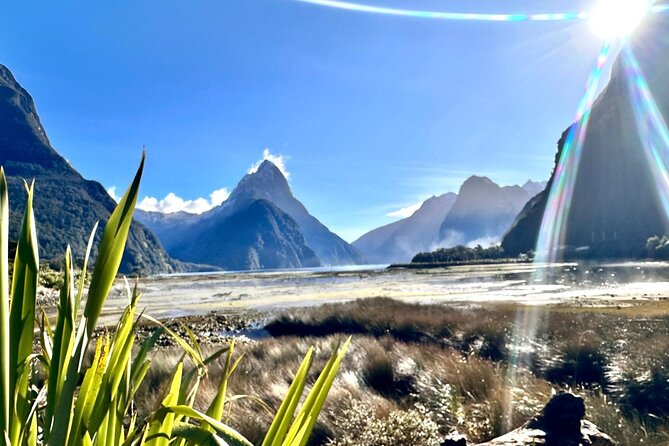 Queenstown to Te Anau via Milford Sound inc Cruise & Lunch - The two-hour Milford Sound cruise