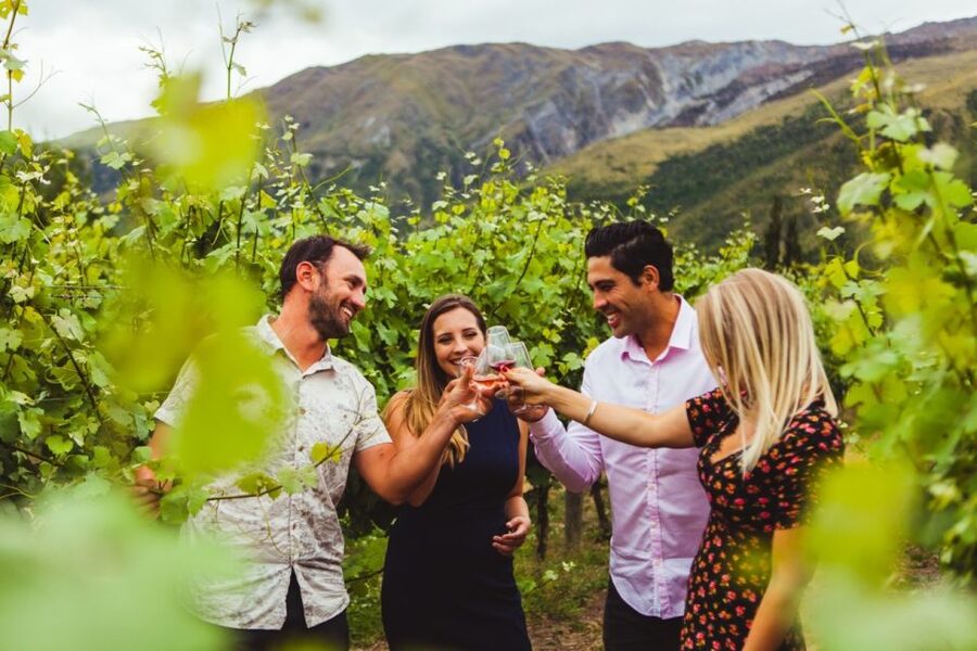 Queenstown: Twilight Wine and Craft Beer Tour - Why this four-hour tour fits a Queenstown day