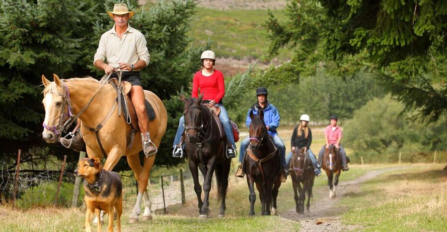 Queenstown: Walter Peak Horse Trek & Queenstown Lake Cruise - Meeting the horses at Walter Peak
