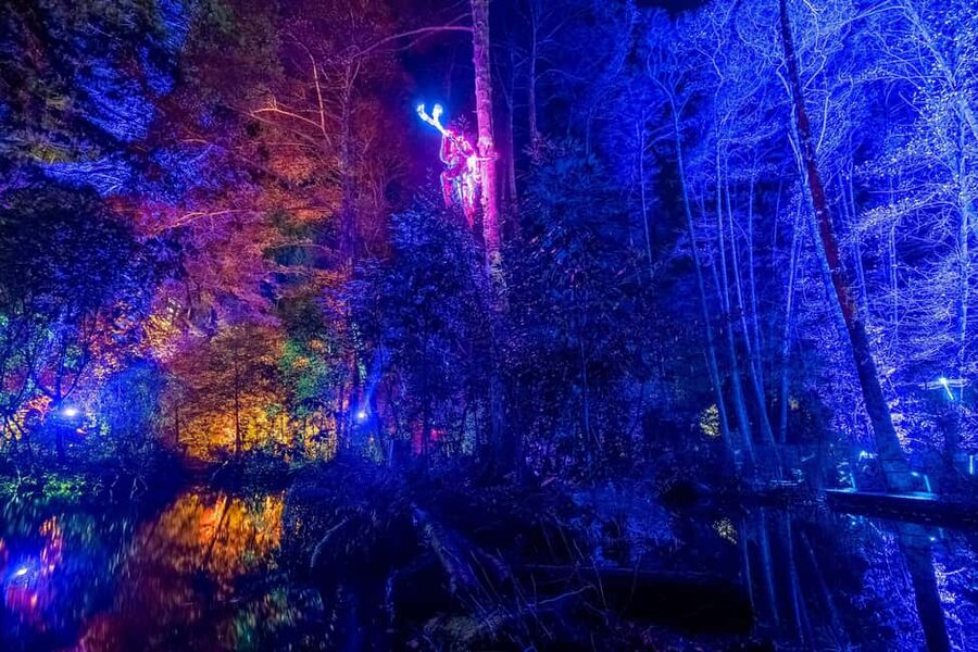 Queenstown: Whimsical Sensory Night Walk at LUMA Enchanted - Key points to know before you go