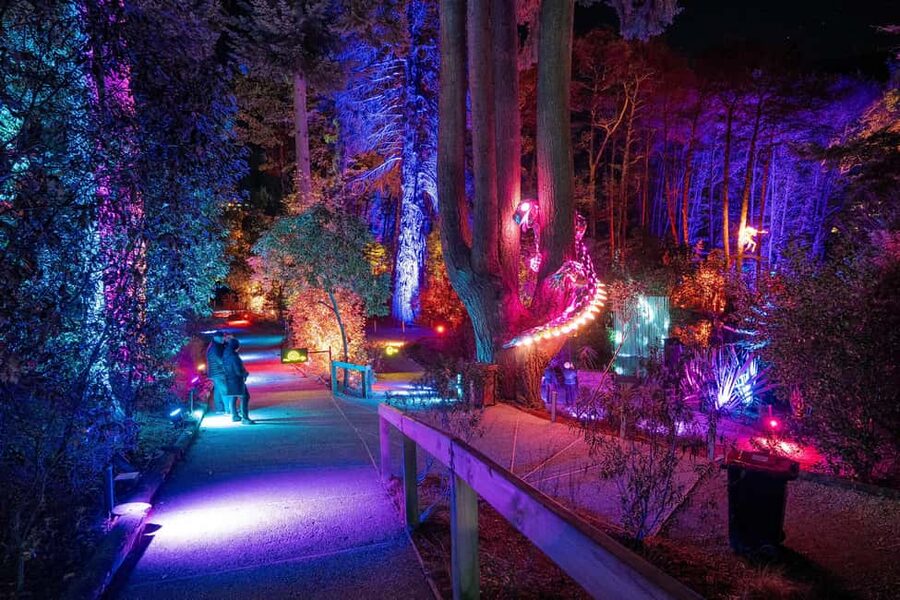 Queenstown: Whimsical Sensory Night Walk at LUMA Enchanted - Whimsical creatures and New Zealand storytelling