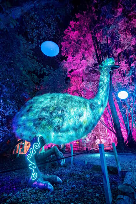 Queenstown: Whimsical Sensory Night Walk at LUMA Enchanted - The sensory side: sound, touch, and darkness