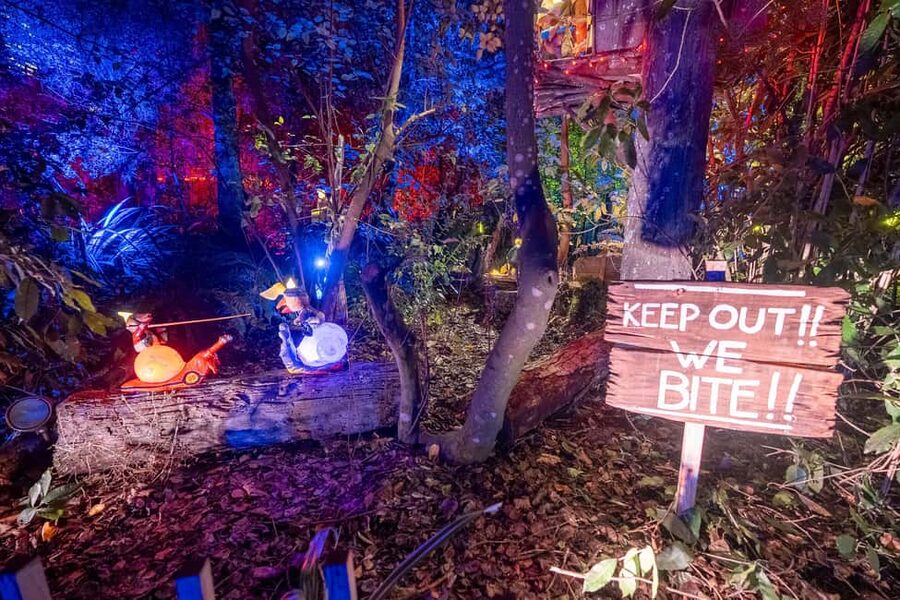 Queenstown: Whimsical Sensory Night Walk at LUMA Enchanted - What the $35 price really buys