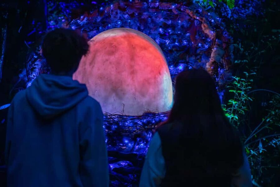 Queenstown: Whimsical Sensory Night Walk at LUMA Enchanted - Practical planning for your Queenstown evening