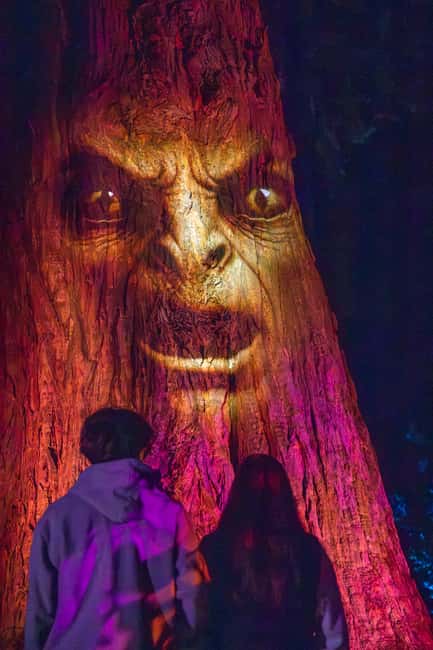 Queenstown: Whimsical Sensory Night Walk at LUMA Enchanted - Should you book this night walk?
