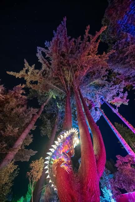 Queenstown: Whimsical Sensory Night Walk at LUMA Enchanted - Light installations that reward a slow pace