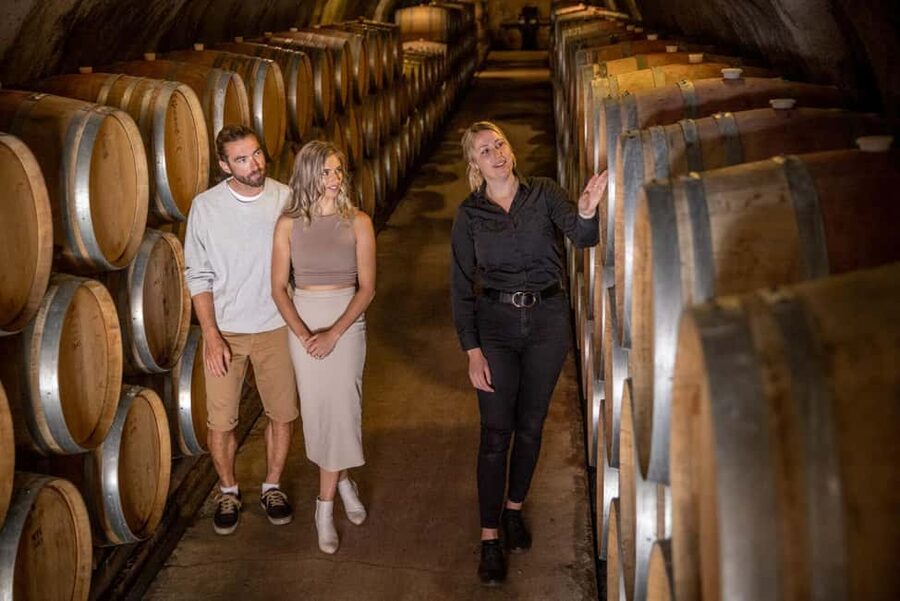 Queenstown: Wine & Food Tour, Scenic Tastings & Paired Lunch - Who should choose this tour