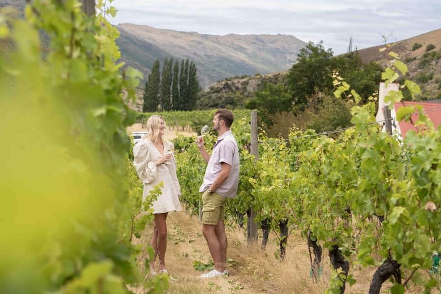 Queenstown: Wine & Food Tour, Scenic Tastings & Paired Lunch - Booking details that matter