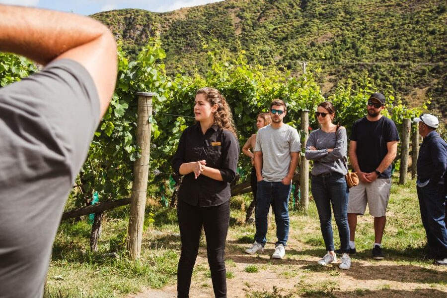Queenstown: Wine Tasting Tour - Central Otago pinot noir and the wider tasting list