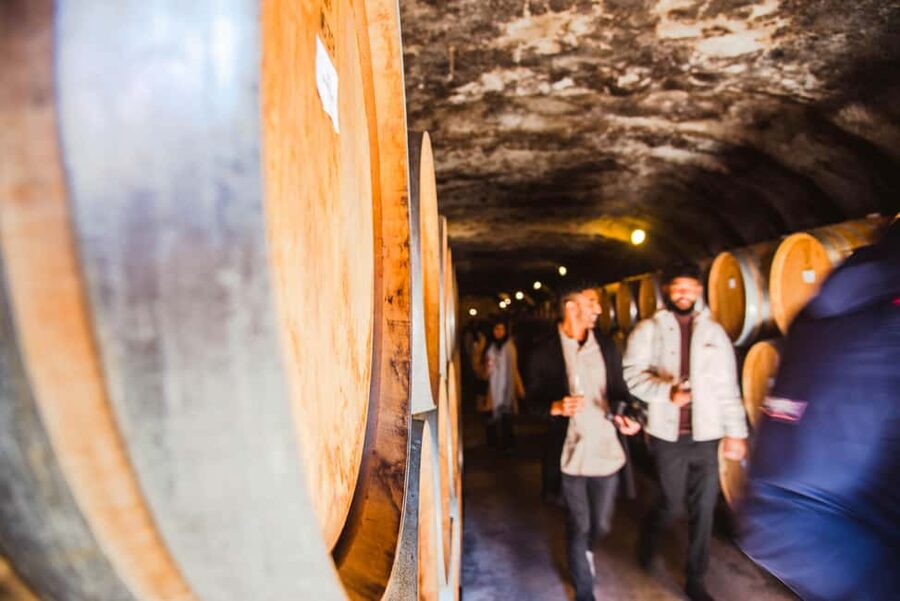 Queenstown: Wine Tasting Tour - What the $134 price includes