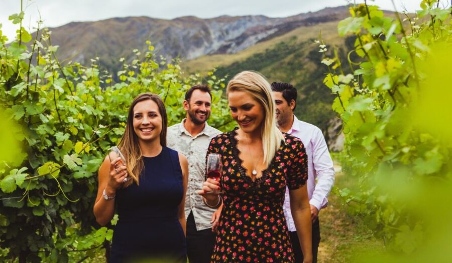 Queenstown: Wine Tasting Tour - Transport, timing, and small details that matter