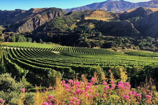 Queenstown Wine Tour - The guides are central to the experience
