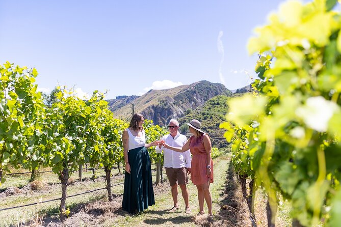 Queenstown Wine Tour - Food, cheese, beer, and gin are extra