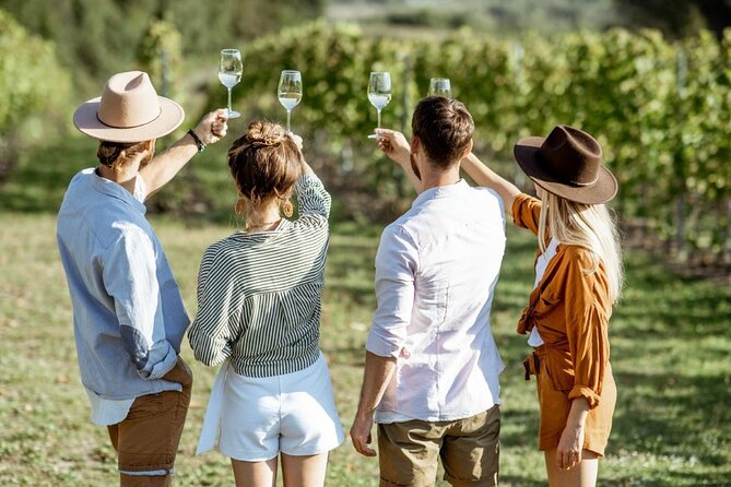 Queenstown Wine Tour - Gibbston Valley Cave | Kinross | Amisfield - Who should book this wine tour?