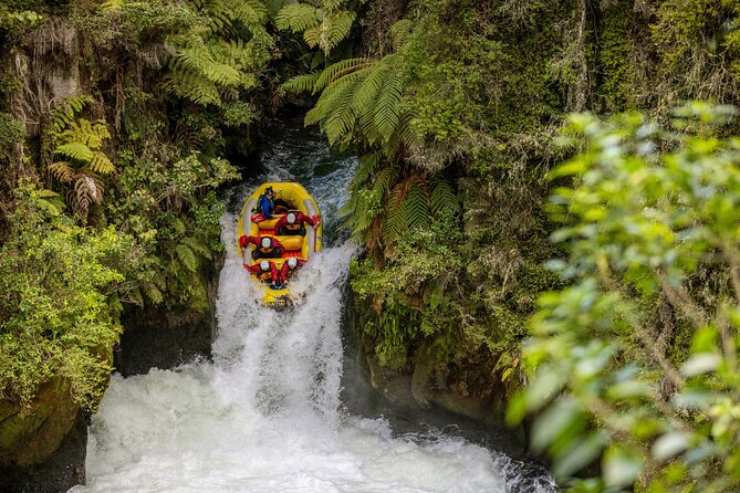 Rafting Rotorua Kaituna White Water Rafting | Kaitiaki Adventures - Why the Kaituna River is such a good rafting choice