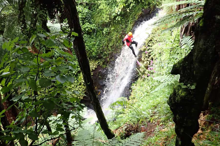 Raglan: Karioi Canyoning - Entering the stream beneath Mt Karioi