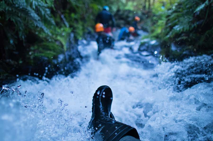 Raglan: Karioi Canyoning - The bush, birds, and stories