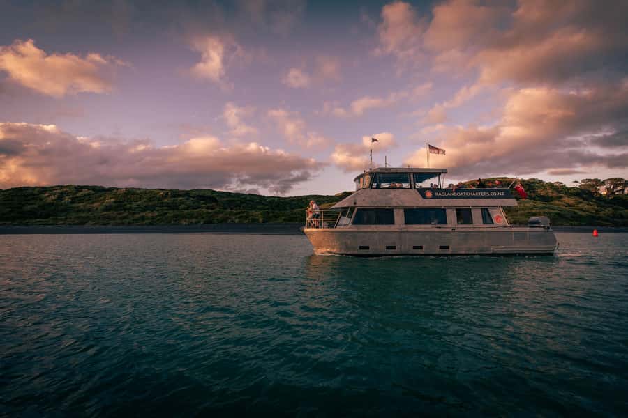 Raglan: Scenic Harbour Sunset Cruise - Wildlife along the harbour