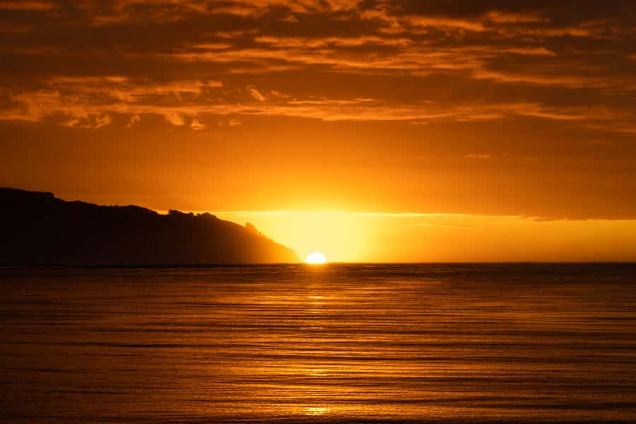 Raglan: Scenic Harbour Sunset Cruise - Who will enjoy this Raglan cruise?