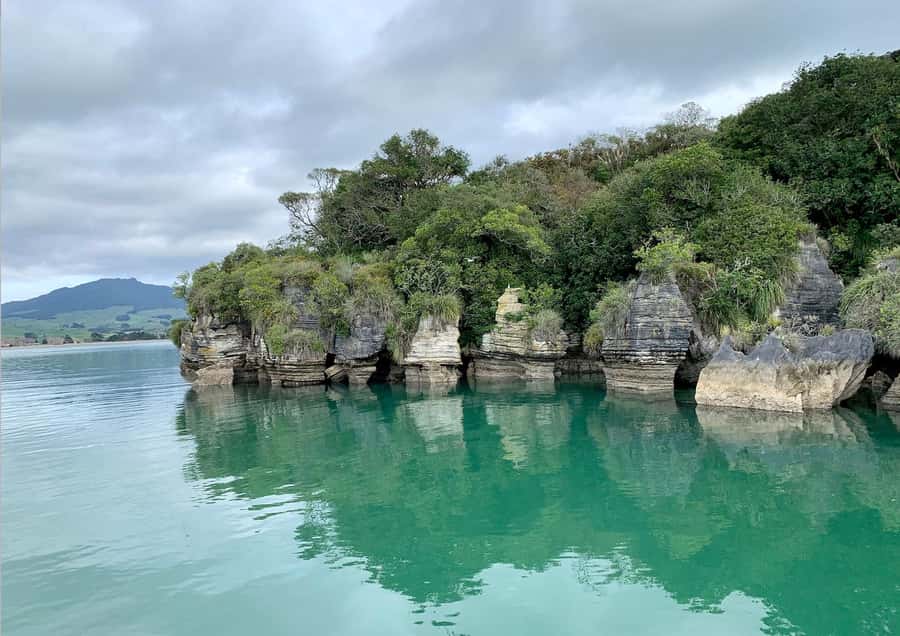 Raglan: Scenic Nature Boat Cruise - Key points