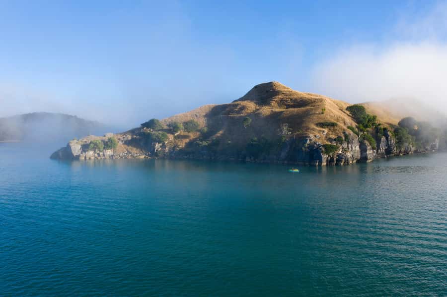 Raglan: Scenic Nature Boat Cruise - Why Raglan Harbour is best seen from the water