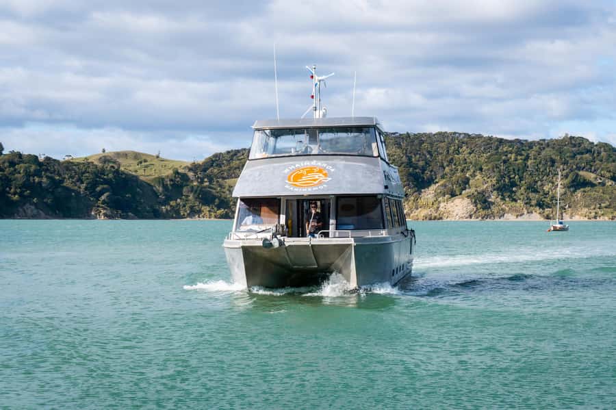 Raglan: Scenic Nature Boat Cruise - The harbour cruise and its changing scenery