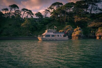 Scenic Nature Boat Cruise