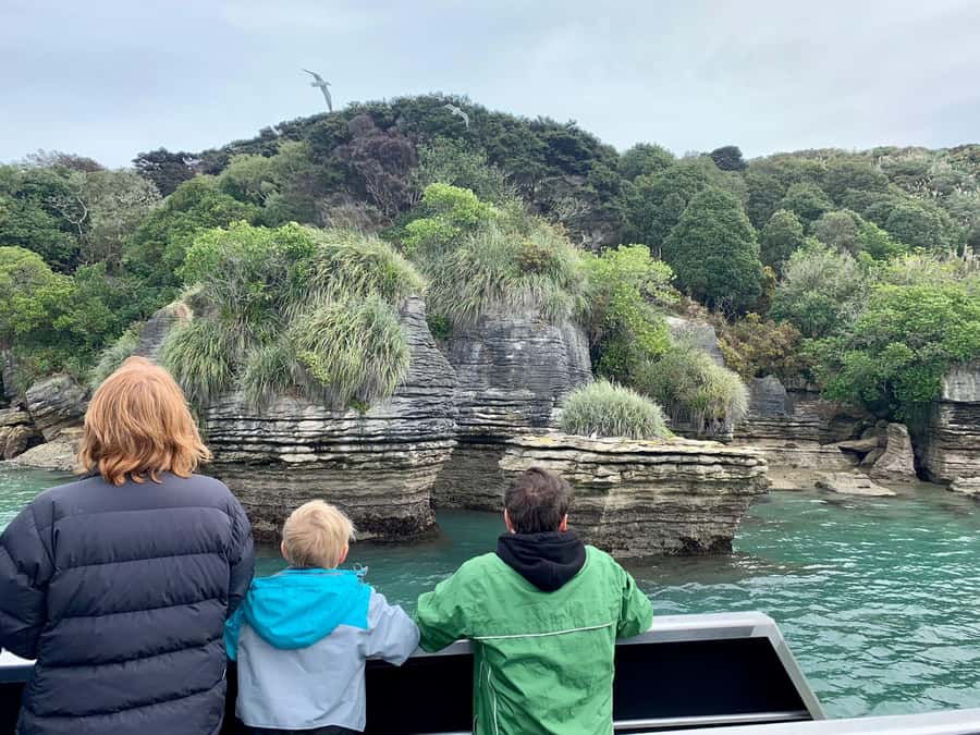 Raglan: Scenic Nature Boat Cruise - Māori pā sites and the human story of the harbour